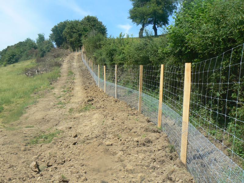 Parc de chasse grillage haute résistance sur pieux acacia