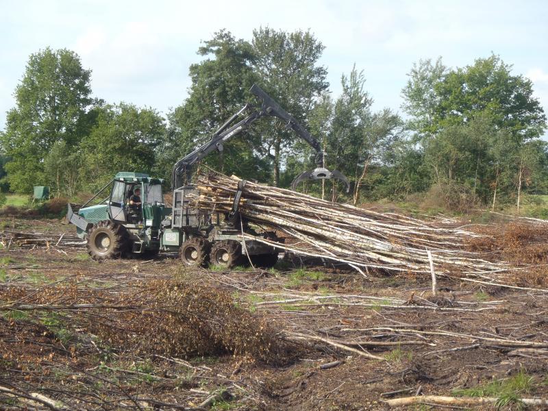 Débardage bois énergie