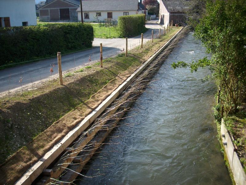 Caisson végétalisé