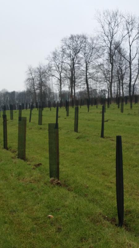 Boisement Agricole