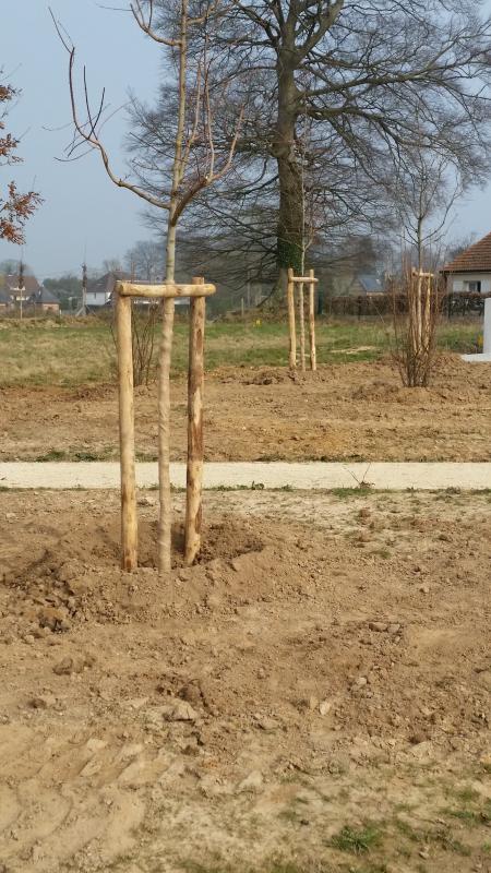 Plantation et entretien