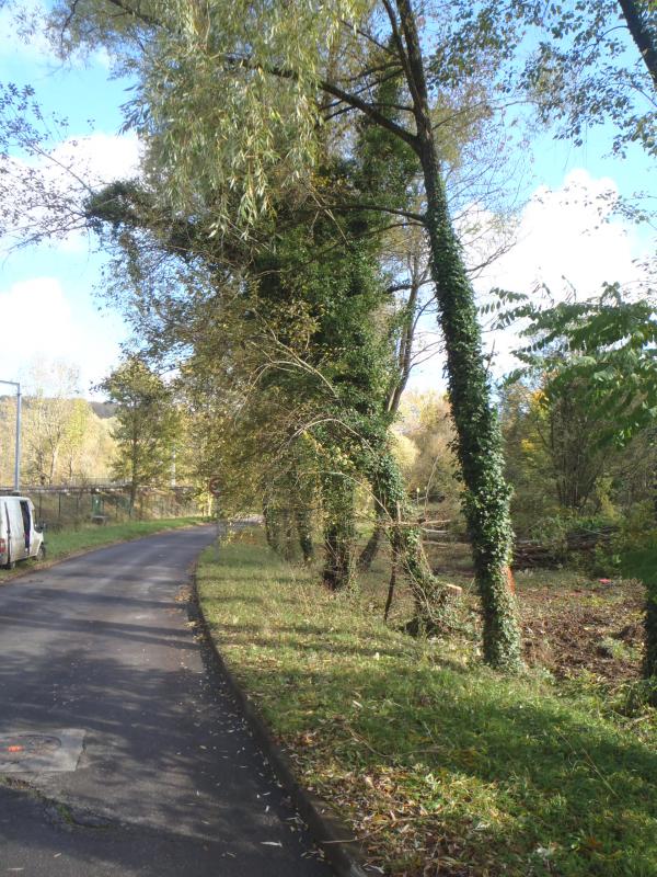 Commune de  Saint Remy les Chevreuse (78)
