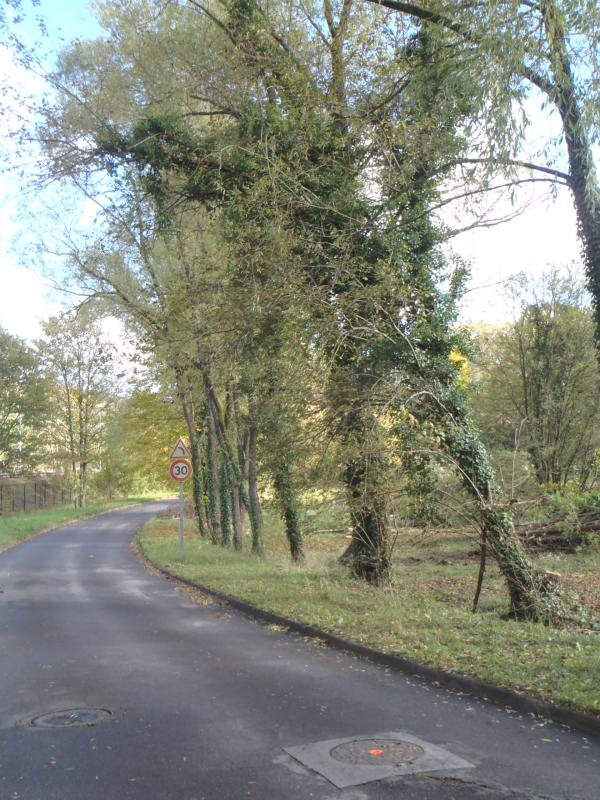 Commune de  Saint Remy les Chevreuse (78)