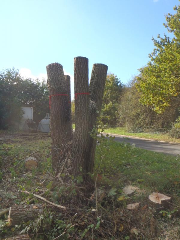Commune de  Saint Remy les Chevreuse (78)
