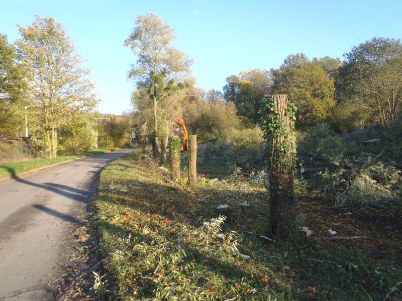 Commune de  Saint Remy les Chevreuse (78)
