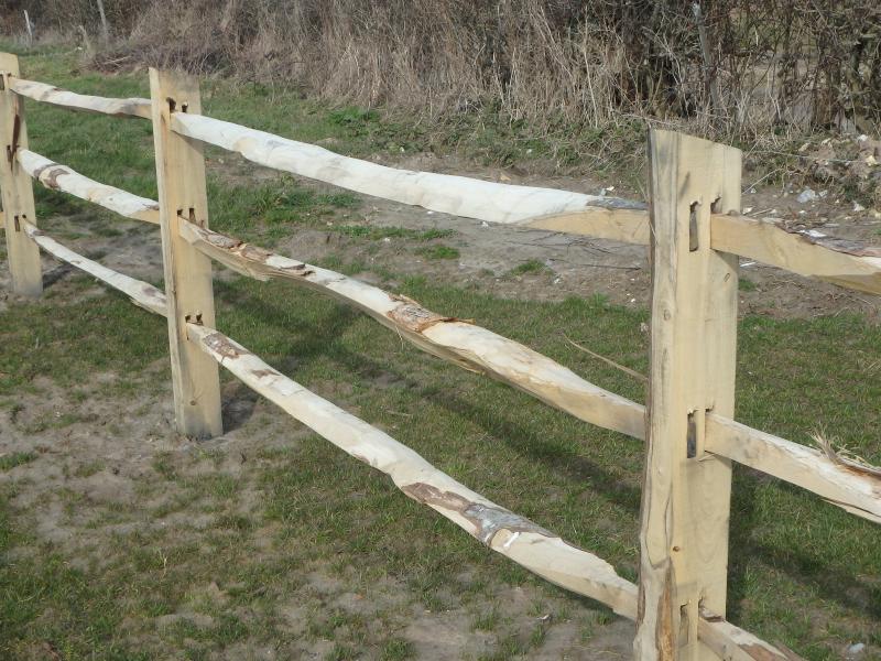 Clôture rustique, 3 lisses, en châtaignier. Environnement fôrets