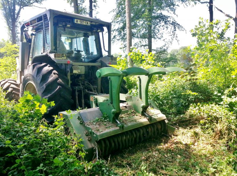 Travaux forestiers divers 