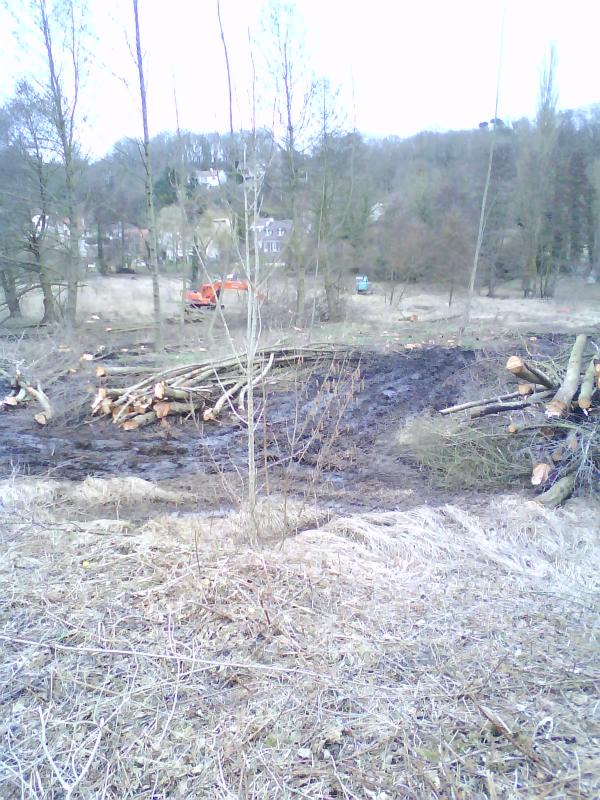 Parc Naturel Vallée de Chevreuse Châteaufort (78)