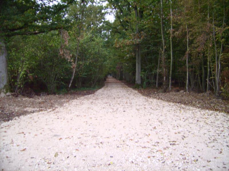Piste forestière, propriété privée (78)